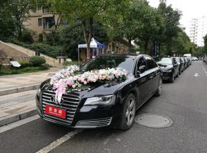 Kunming Audi A6L and Passat 1
